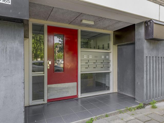 Ruygeplaat 153, Rozenburg
