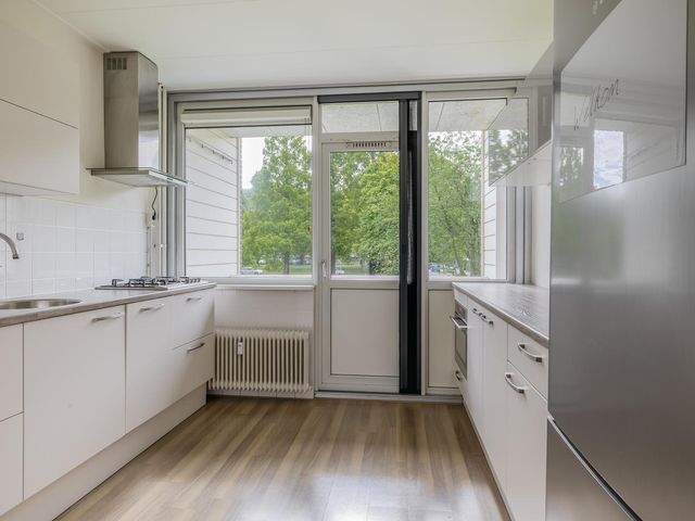 Ruygeplaat 153, Rozenburg