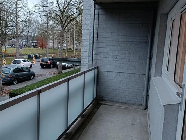 Lienaertsstraat 60, Geleen