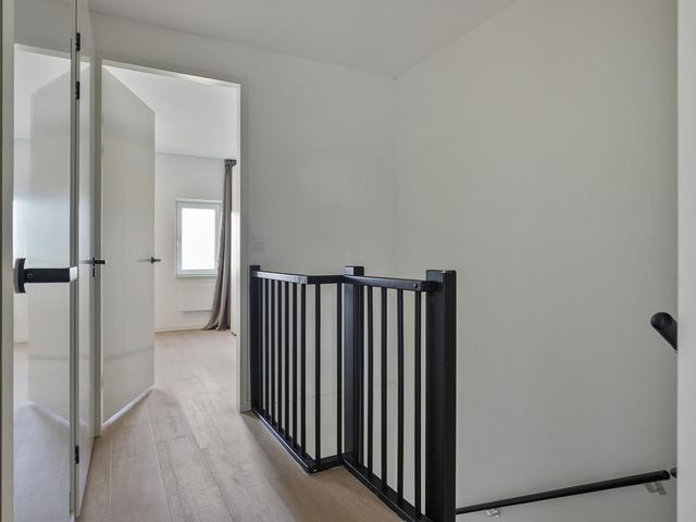 Apollovlinder 25, Terneuzen