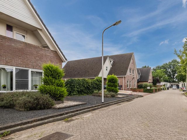 De Bolster 50, Hollandscheveld