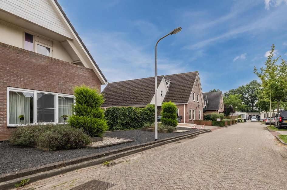 De Bolster 50
