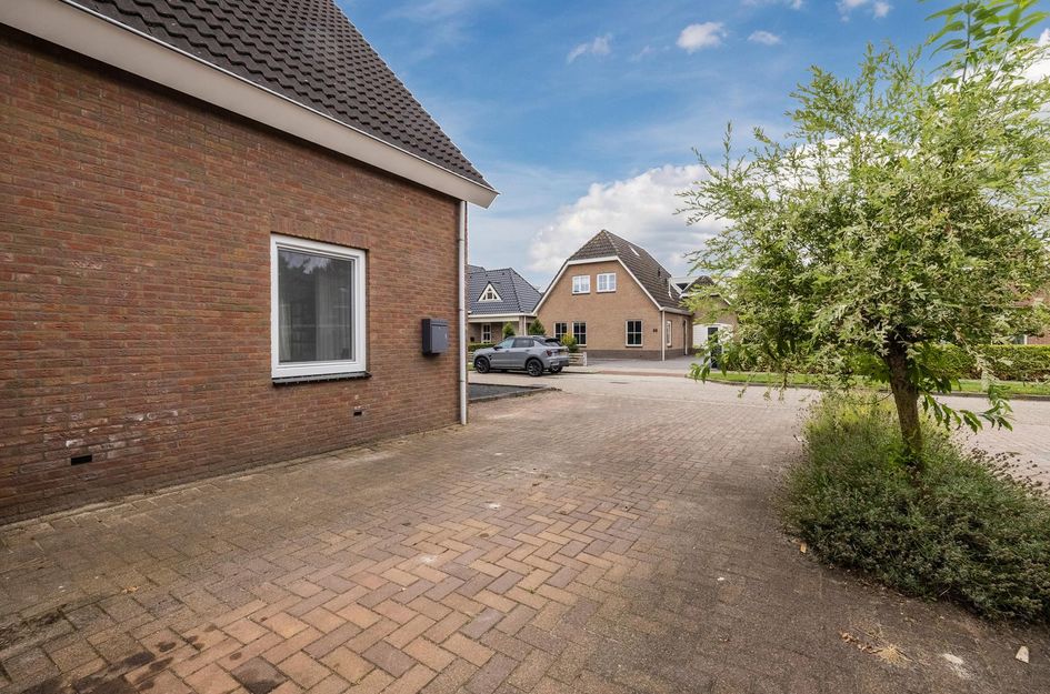 De Bolster 50