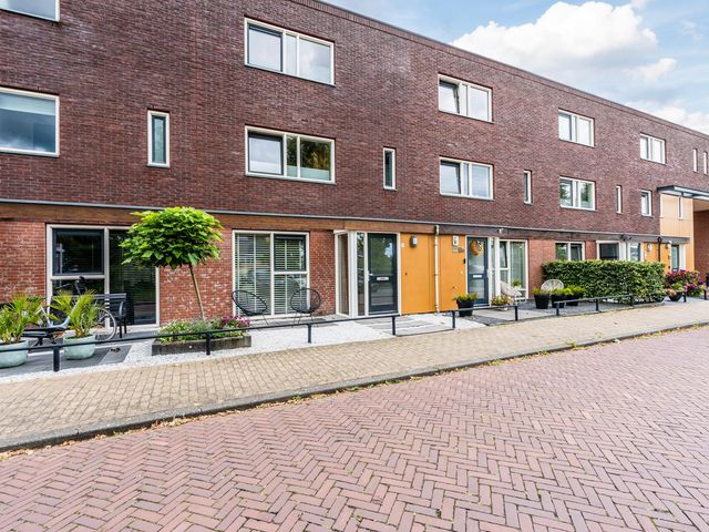 Citroenvlinder 100, Hoogeveen