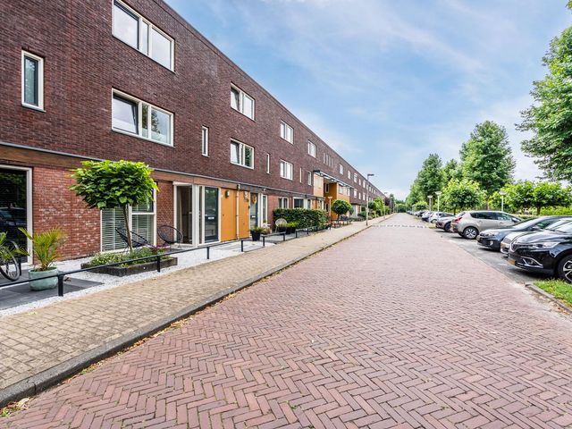 Citroenvlinder 100, Hoogeveen