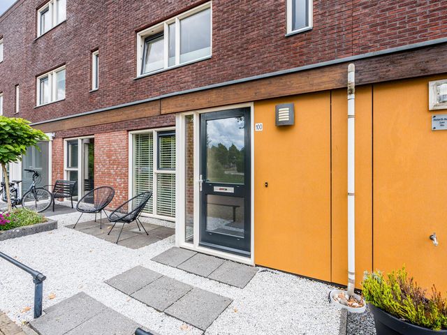 Citroenvlinder 100, Hoogeveen