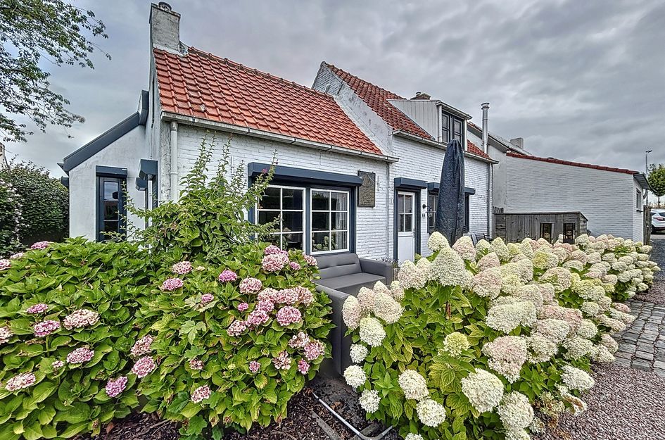 Hogeweg 11