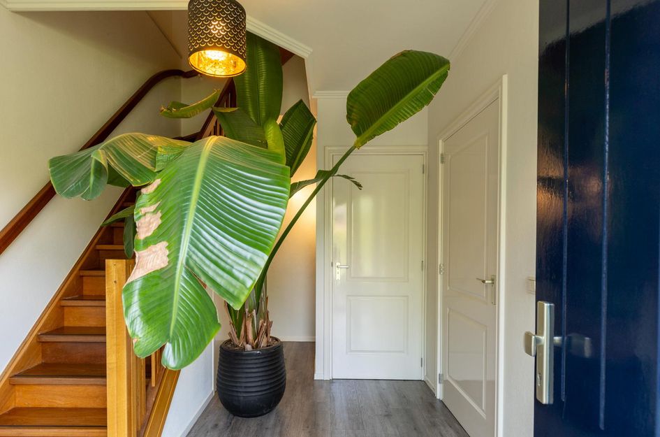 Prins Bernhardstraat 40
