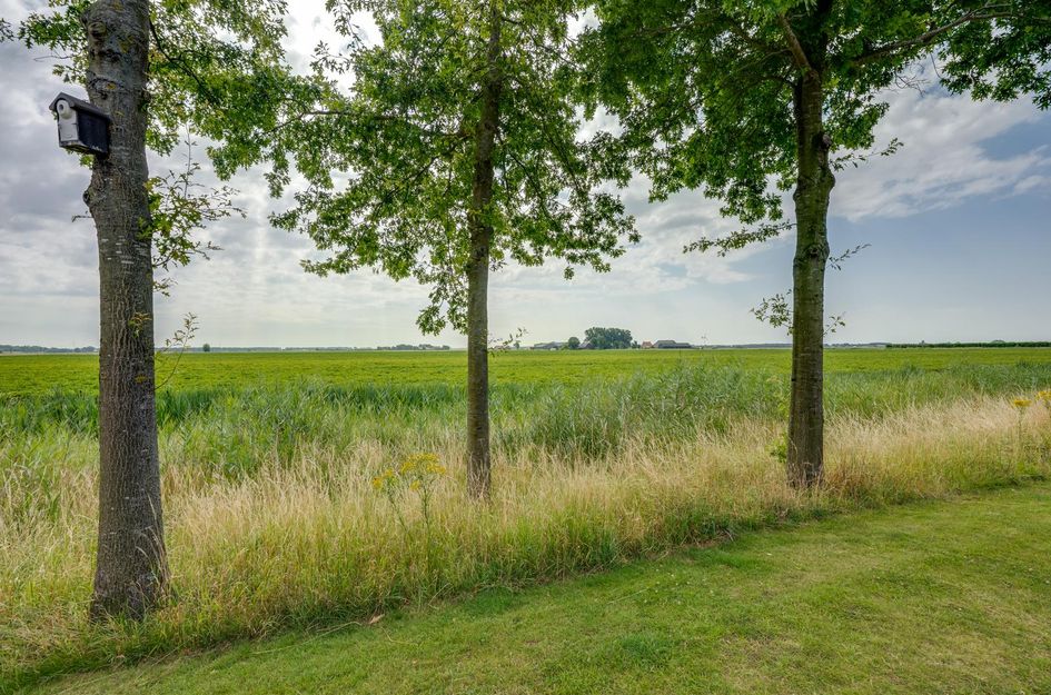 Zandkreek 12