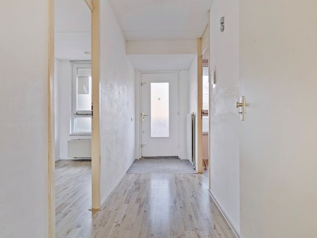 Van Ollefenstraat 104, Amsterdam