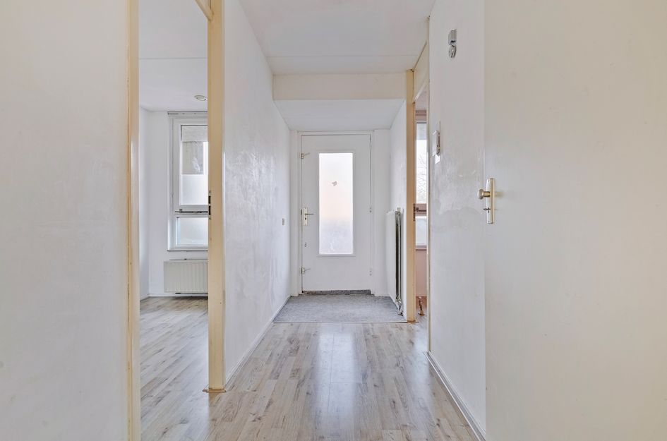 Van Ollefenstraat 104