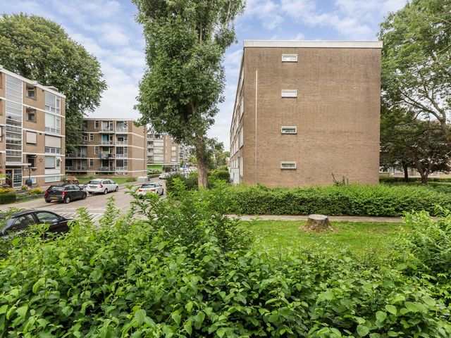 Schalkeroord 50, Rotterdam