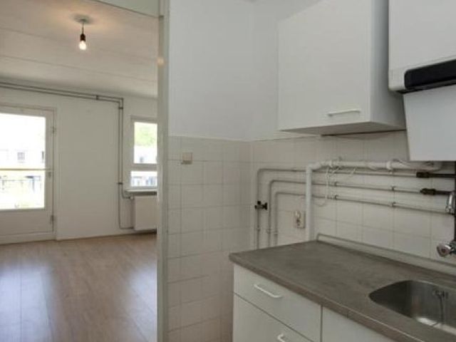 Boeninlaan , Amsterdam