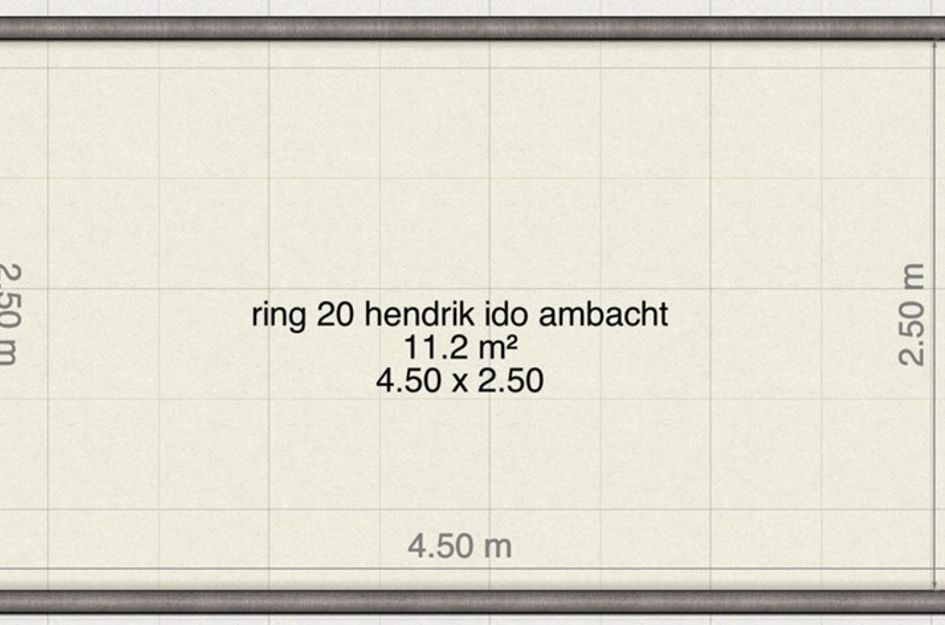 Ring 229 20