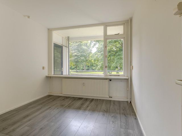 Ruigoord 214, Rotterdam