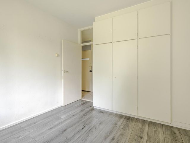 Ruigoord 214, Rotterdam