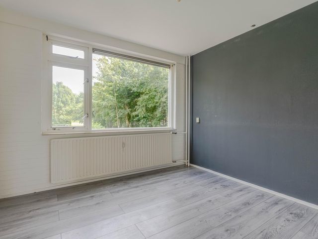 Ruigoord 214, Rotterdam