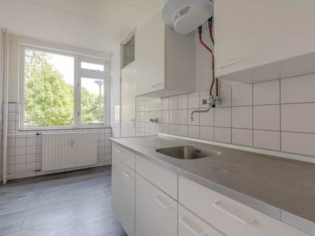 Ruigoord 214, Rotterdam