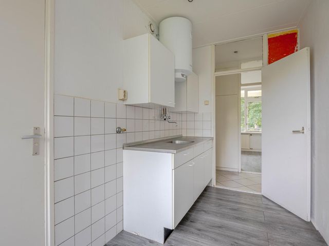 Ruigoord 214, Rotterdam