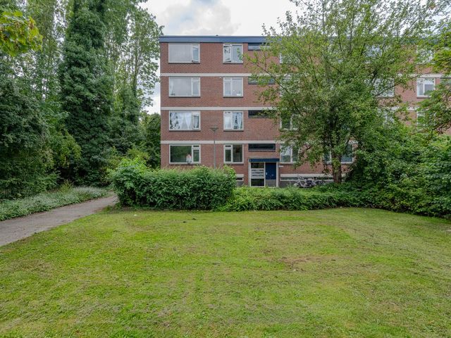 Ruigoord 214, Rotterdam