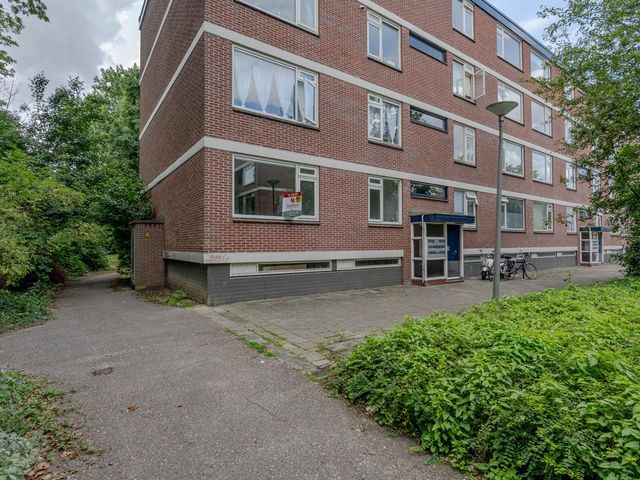 Ruigoord 214, Rotterdam