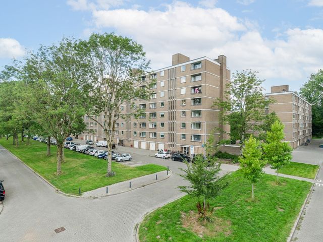 Adriaan Dortsmanstraat 3, Rotterdam