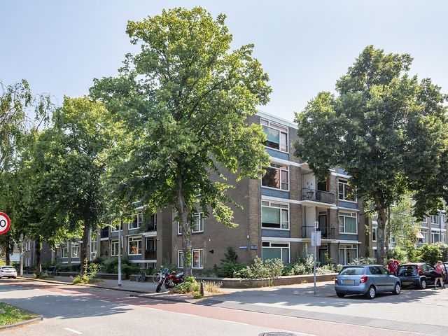 Burggravenlaan 164, Leiden