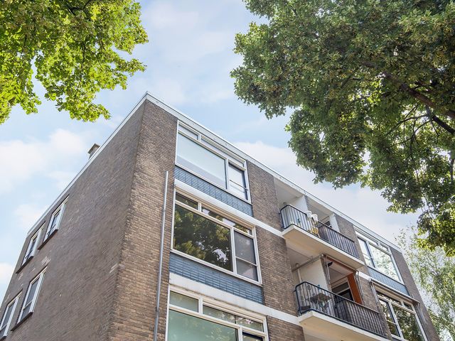 Burggravenlaan 164, Leiden