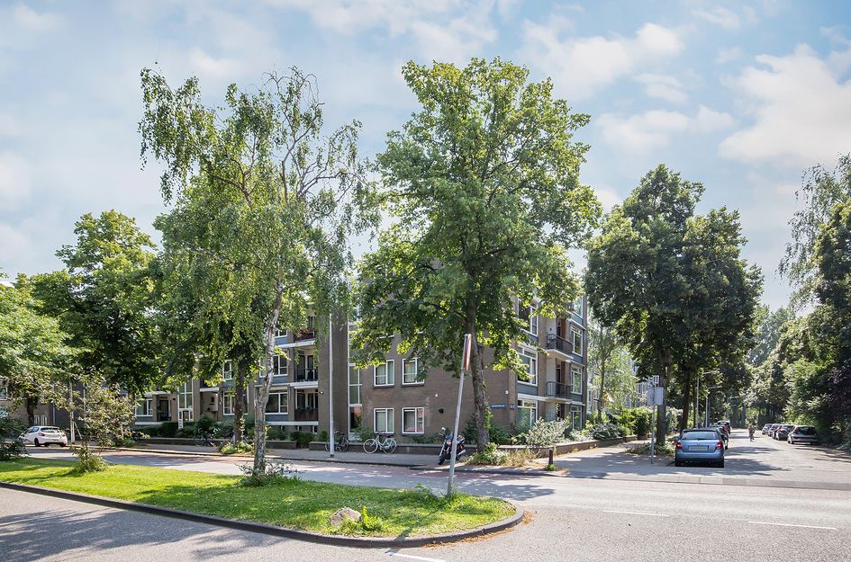 Burggravenlaan 164
