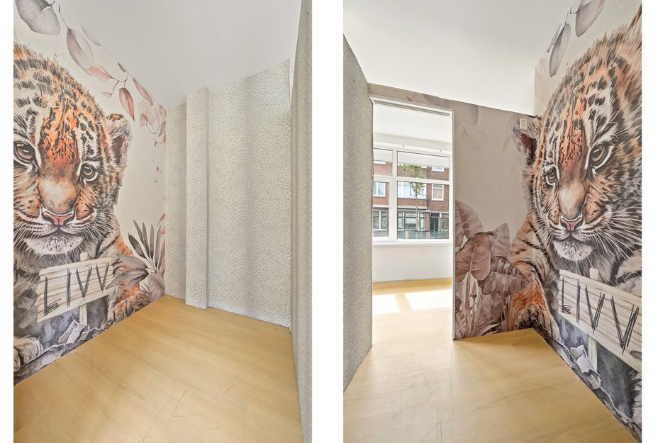 Elise van Calcarstraat 49