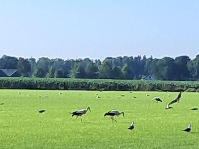 De Stille Wille 162, Oost West En Middelbeers