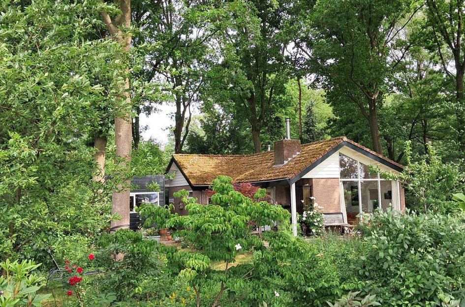 De Stille Wille 162