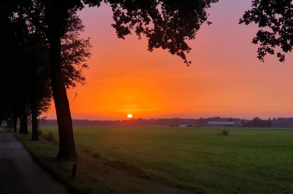 De Stille Wille 162