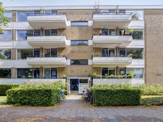 Vondellaan 310, Groningen