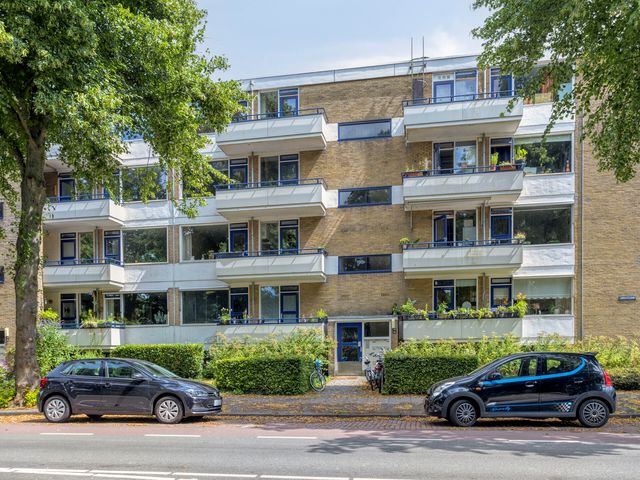 Vondellaan 310, Groningen