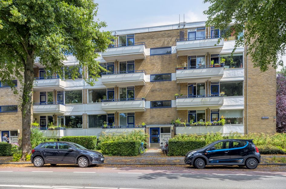 Vondellaan 310