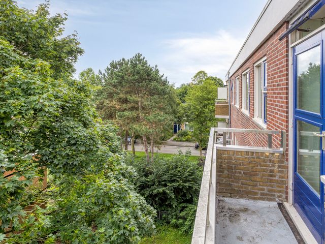 Vondellaan 310, Groningen