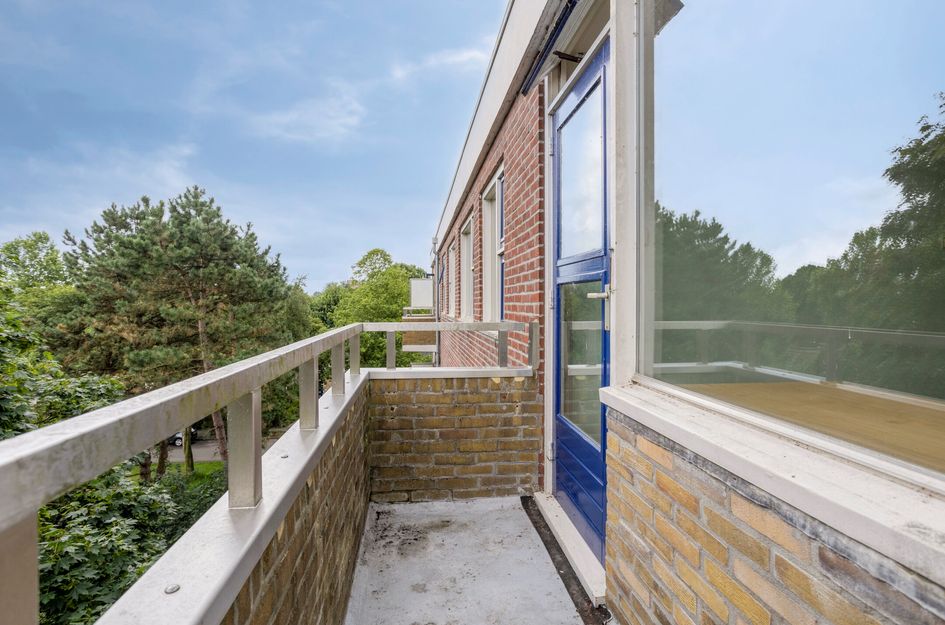 Vondellaan 310