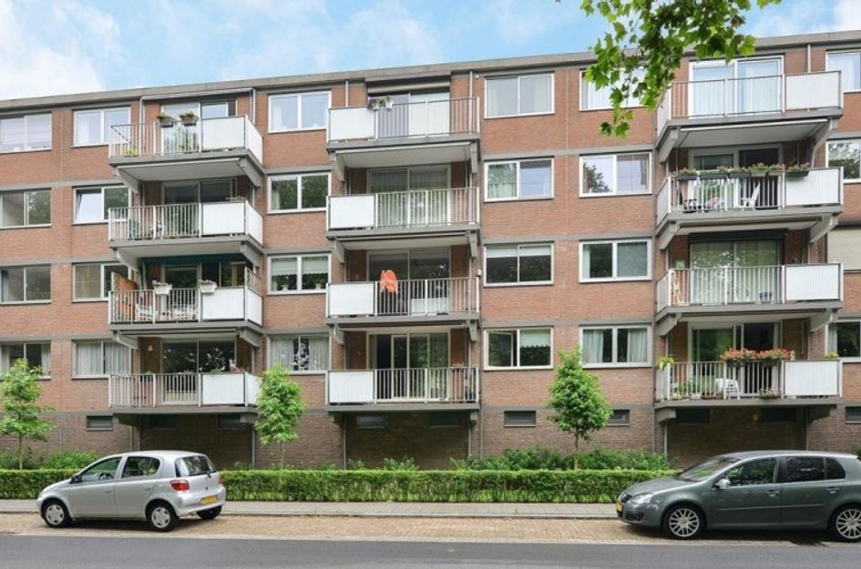 Rijnauwenstraat 