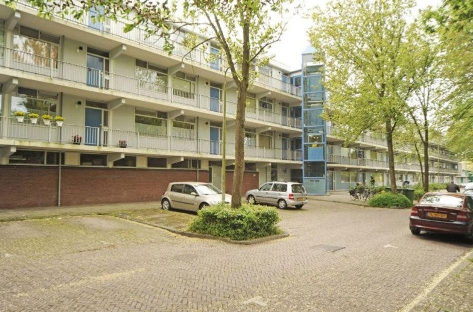 Pijperring 