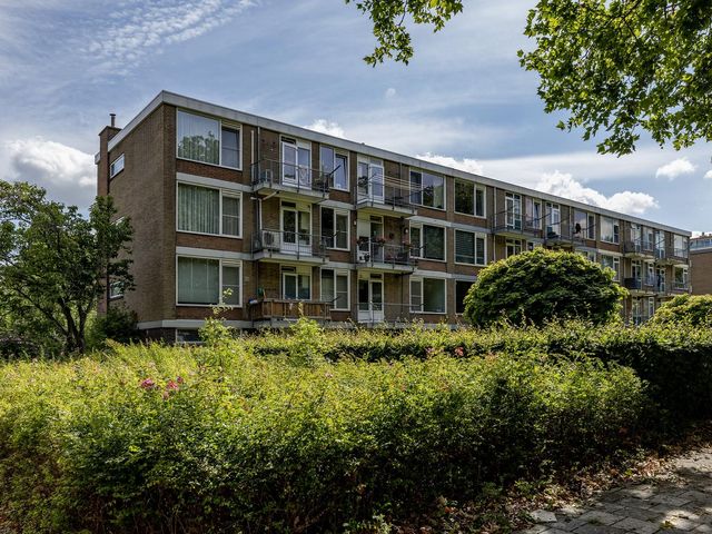 Schoonegge 61, Rotterdam