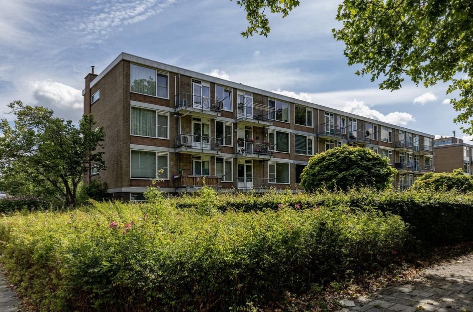 Schoonegge 61