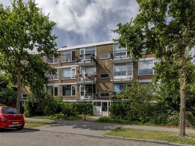 Schoonegge 61, Rotterdam