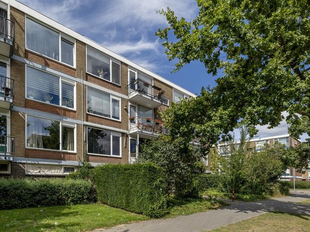 Schoonegge 61, Rotterdam