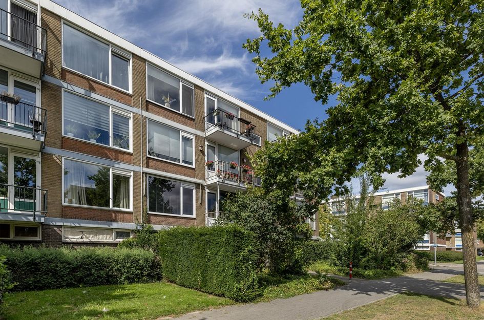Schoonegge 61