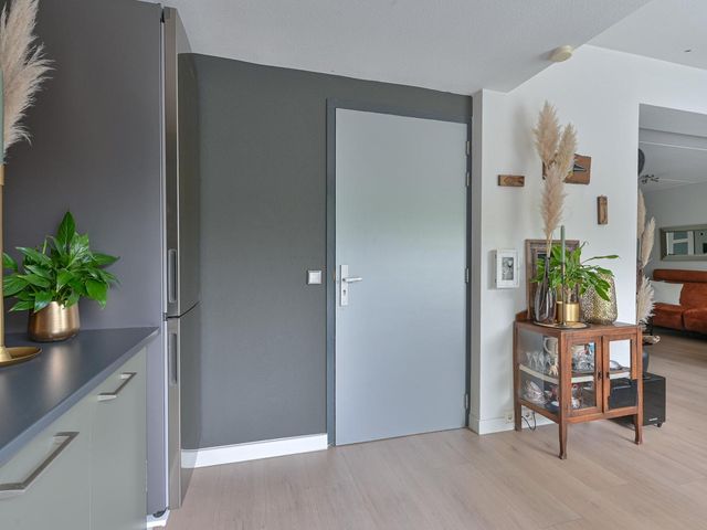 Pauwoog 52, Hoogeveen
