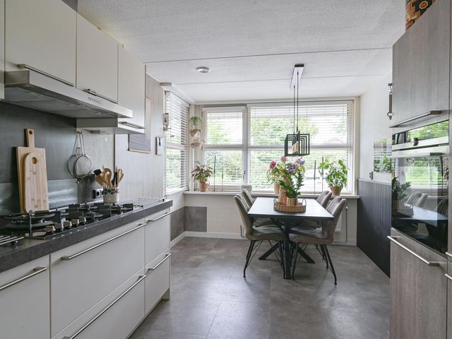 Pauwoog 52, Hoogeveen