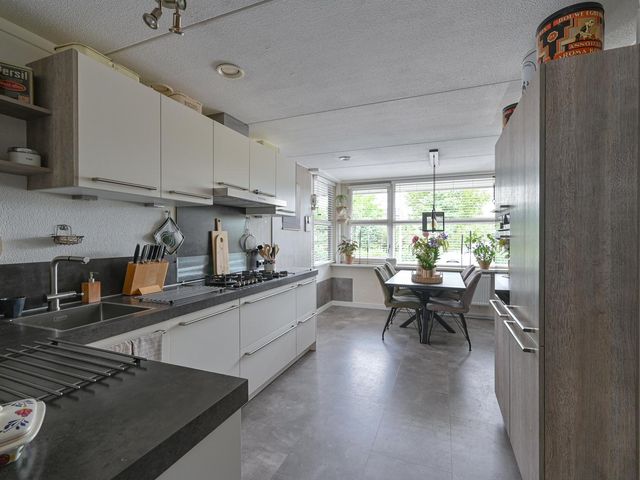 Pauwoog 52, Hoogeveen