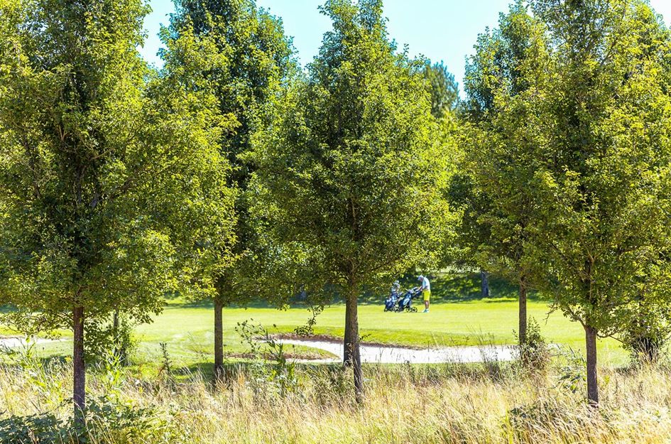 Parcivalring 149