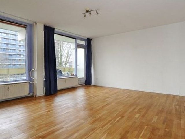 Isabellaland , Den Haag